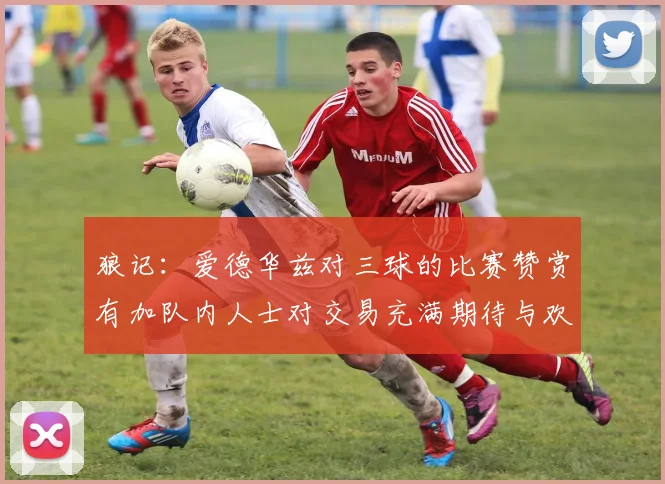 狼记：爱德华兹对三球的比赛赞赏有加队内人士对交易充满期待与欢欣