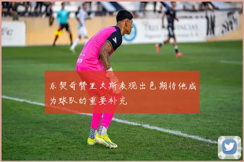 东契奇赞里夫斯表现出色期待他成为球队的重要补充