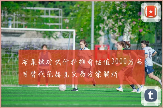 布莱顿对武什科维奇估值3000万或可替代范赫克交易方案解析